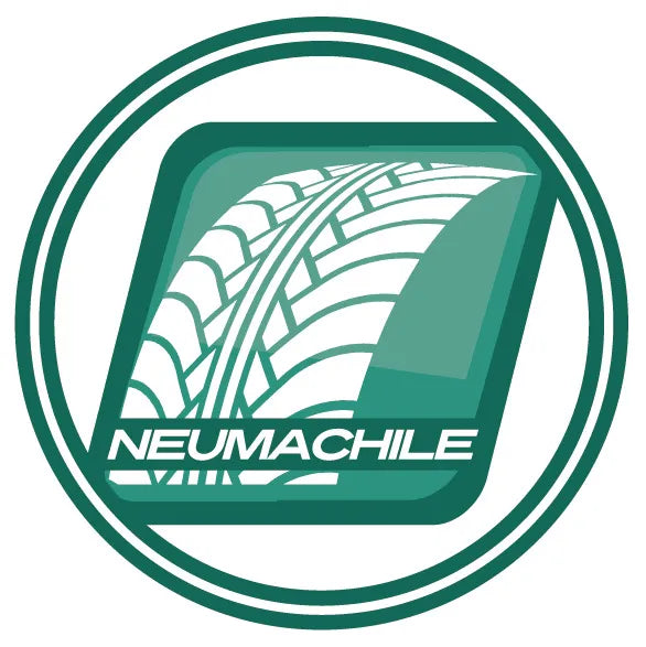 NEUM.235/55 R19 101H RO GTX (KIA EV6)